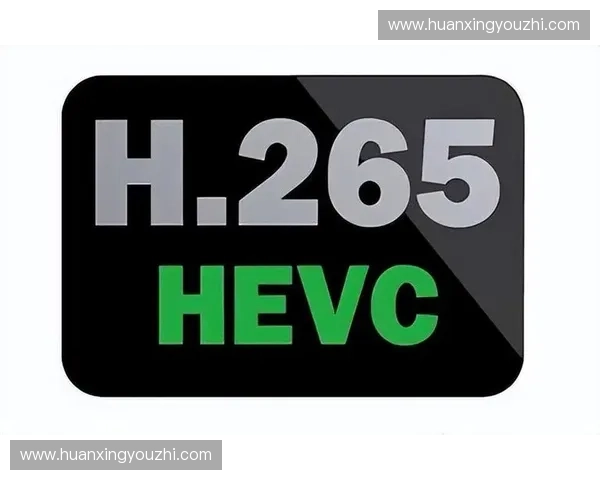 H.266编码标准:极致缩减海外粉丝内容获取时延。
